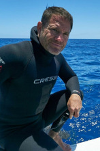 Shark with Steve Backshall 