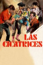 Las cicatrices