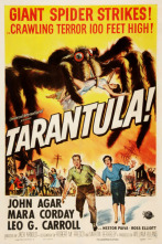 Tarántula