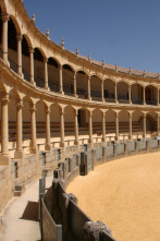 Festival taurino: Madrid torea por Valencia