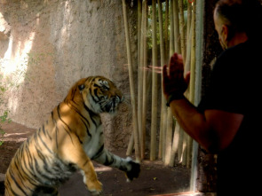 Crónicas del zoo