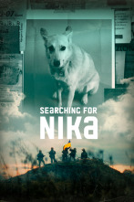 Nits sense ficció: Buscant la Nika