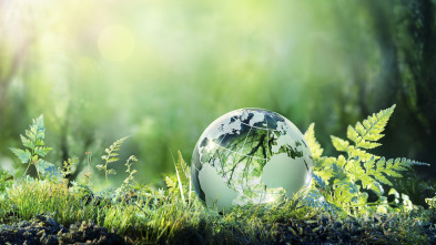 La Bataille pour la forêt