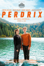 Perdrix