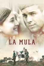 La mula