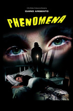 Phenomena