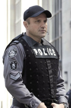 Flashpoint (T5): Ep.9 Agentes del orden