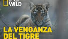 La venganza del tigre