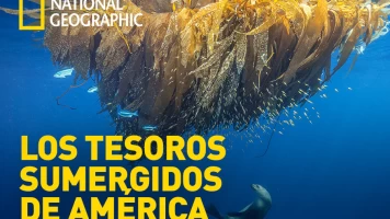 Los tesoros sumergidos de América