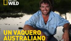 Un vaquero australiano