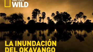 La inundación del Okavango