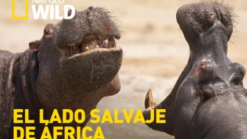 El lado salvaje de África