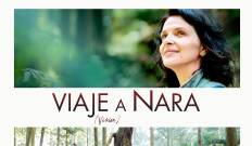 (LSE) - Viaje a Nara (Visión)