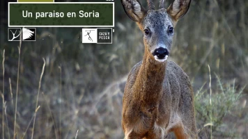 Un paraíso en Soria