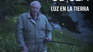 Luz en la Tierra