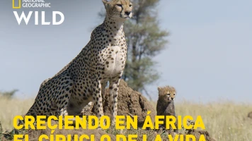 Creciendo en África: El círculo de la vida