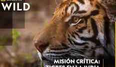 Misión crítica: tigres en la India