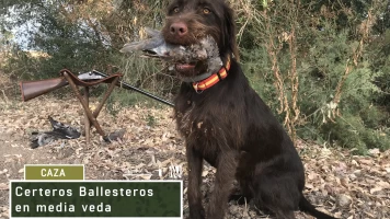 Certeros Ballesteros en la media veda