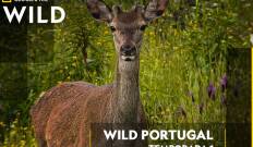 Wild Portugal