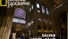 Salvar Notre Dame