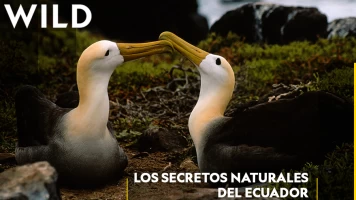 Los secretos naturales del ecuador