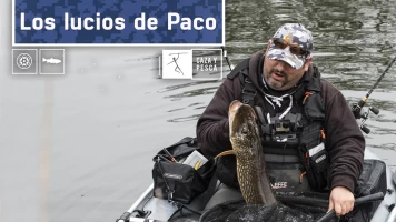 Los lucios de Paco