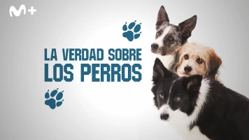 La verdad sobre los perros