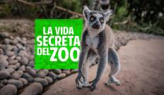 La vida secreta del Zoo