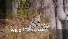 Diario de un leopardo adolescente