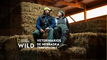 Veterinarios de Nebraska