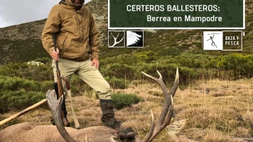 Certeros Ballesteros: Berrea en Mampodre