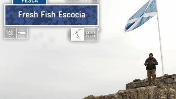 Fresh Fish, Escocia