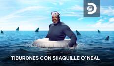 Tiburones con Shaquille O'Neal