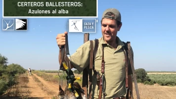 Certeros Ballesteros: Azulones al alba