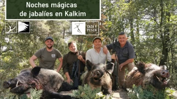 Noches mágicas de jabalies en Kalkim