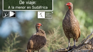 De viaje: a la menor en Sudáfrica