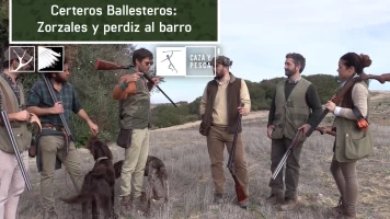 Certeros ballesteros: Zorzales y perdiz al barro