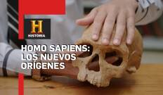 Homo sapiens: Los nuevos orígenes