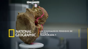 Los dinosaurios perdidos de Alaska