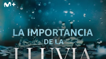 La importancia de la lluvia