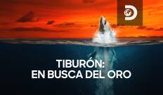 Tiburón: en busca del oro