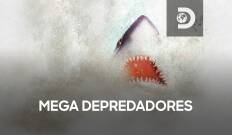 Mega depredadores