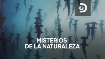 Misterios de la naturaleza