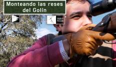 Monteando las reses del Golín