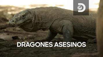 Dragones asesinos