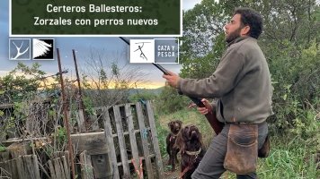 Certeros Ballesteros: Zorzales con perros nuevos