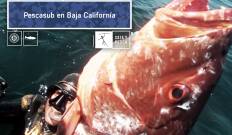 Pescasub en Baja California