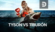 Tyson vs tiburón