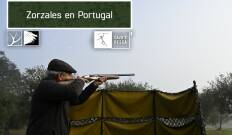 Zorzales en Portugal