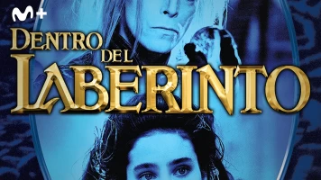 Dentro del laberinto